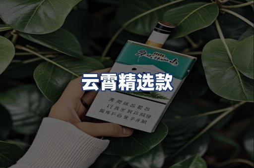 云霄精选款